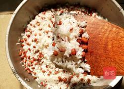 红豆枣粽的做法图解3