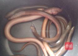 黄鳝粥的做法图解1