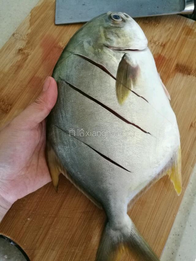 在鱼的两面斜着划上几刀，便于入味