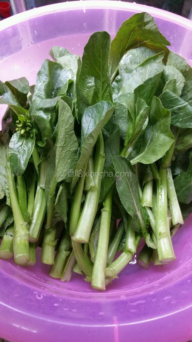 菜心洗净备用