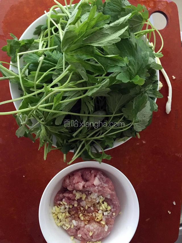 益母草择好洗干净，肉沫加入葱、姜、料酒、生抽、盐、胡椒粉、少许蛋清搅拌均勻