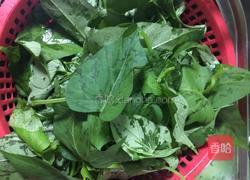 蕃薯叶的做法图解1