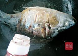 啤酒烧鲤鱼的做法图解6