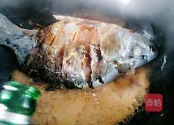 啤酒烧鲤鱼的做法图解7