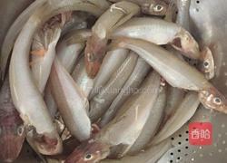 干煸沙尖鱼的做法图解1