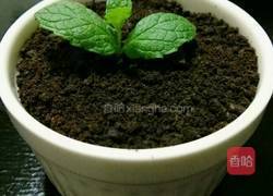 水果酸奶木糠杯的做法图解10