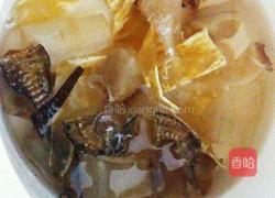 海马炖鱼胶的做法图解4