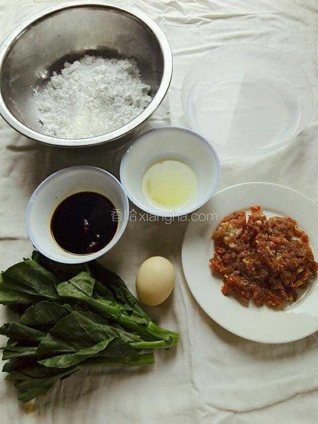 先来张大合照