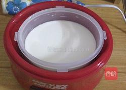 自制原味酸奶的做法图解6