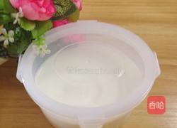 自制原味酸奶的做法图解10