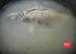 香煎鲫鱼汤的做法图解4