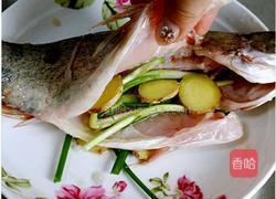 清蒸鳜鱼的做法图解2