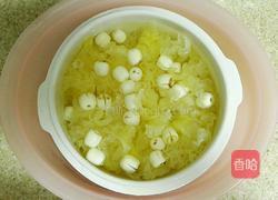 美容养颜羹（水炖锅制作）的做法图解2