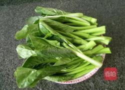 炒菜芯的做法图解1