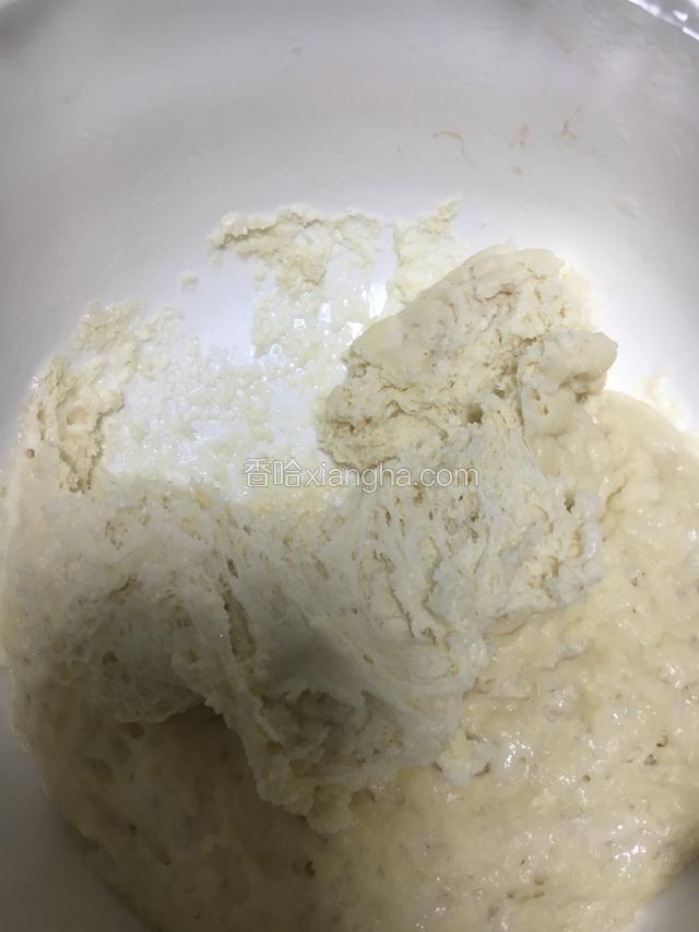 放置发酵起蜂巢状