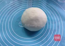灌汤生煎包的做法图解6