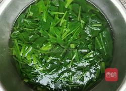 凉拌菠菜的做法图解3