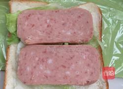 三明治的做法图解5