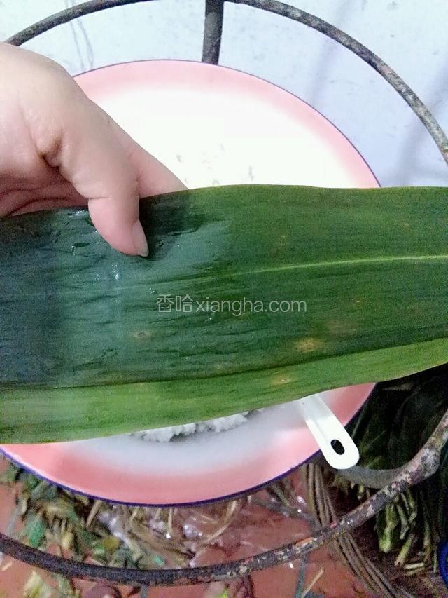 粽叶洗净沥干水分，取两叶粽叶重叠（两张头尾搭配，一张头在左，上一张就尾在左，上一张压下一张时下边留一点）