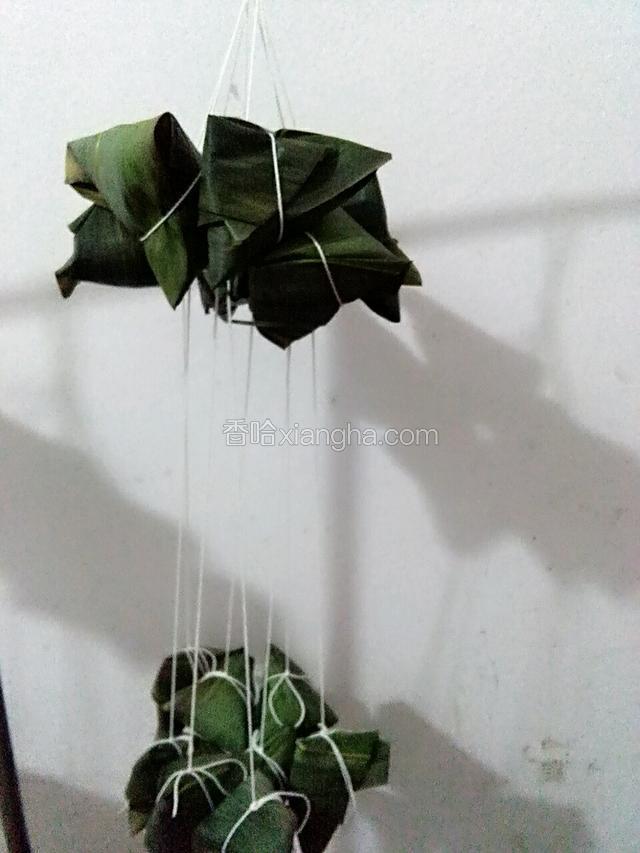 看，这就是我们家绑的粽子（煮的时候方便，捞起沥水也方便，这样的粽子也不会含水）