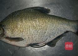 清蒸武昌鱼的做法图解1