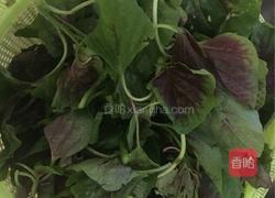 蒜茸红苋菜的做法图解2