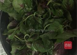 蒜茸红苋菜的做法图解5