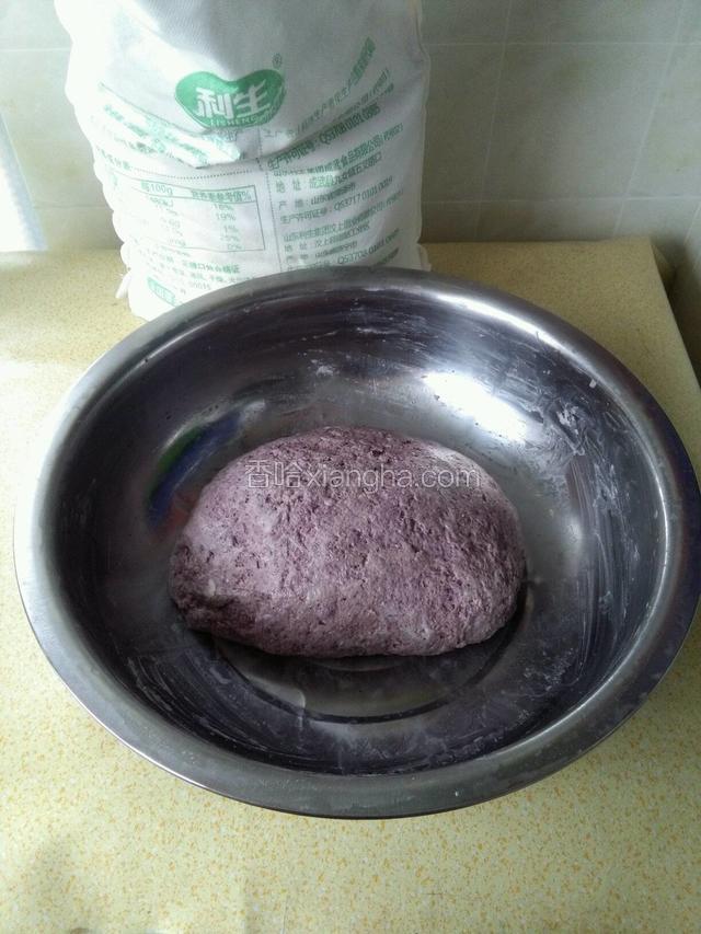 把这切食材均匀的和成面团，不要太软了，盖上盖子酵大约二小时后就发酵了。
