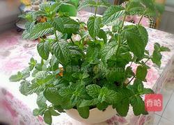 柠檬薄菏蛋饼的做法图解1