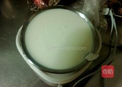 自制酸奶的做法图解4