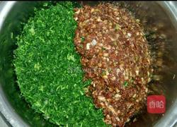 荠菜猪肉馅饺子的做法图解7