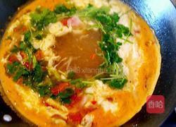 西红柿蛋汤的做法图解6