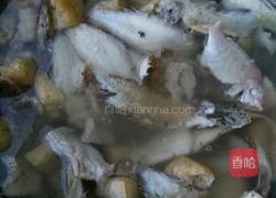 杂鱼汤的做法图解5