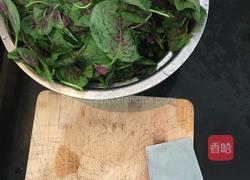 清炒苋菜的做法图解2