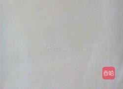 烫面葱花烙饼的做法图解3