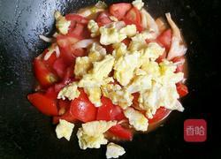 西红柿鸡蛋烩面片的做法图解11