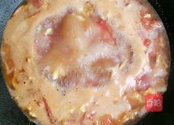 西红柿鸡蛋烩面片的做法图解13