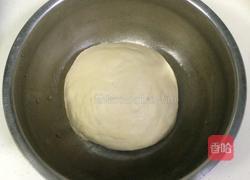 葡萄干小面包卷（中种）的做法图解1