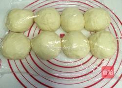 葡萄干小面包卷（中种）的做法图解6