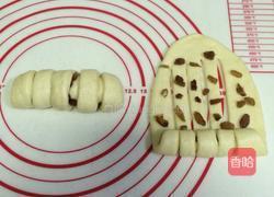 葡萄干小面包卷（中种）的做法图解10