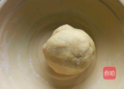 磨牙棒的做法图解4