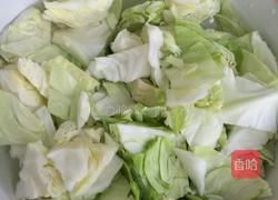 呛拌圆白菜的做法图解1