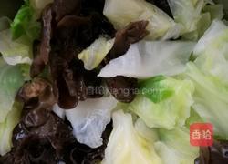 呛拌圆白菜的做法图解5