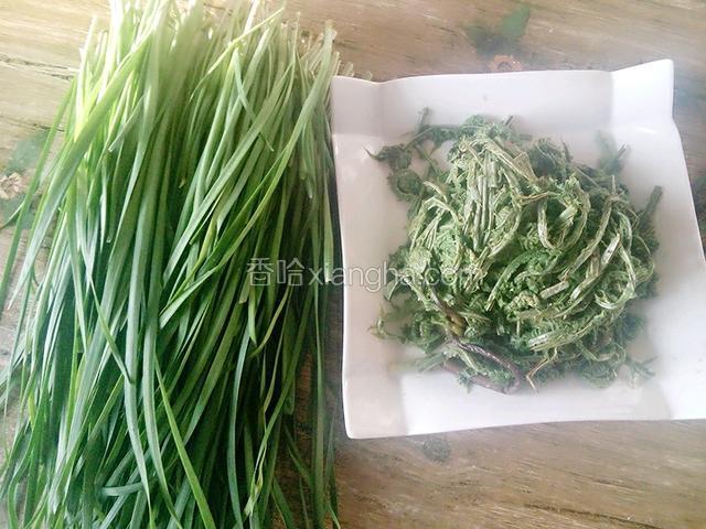 准备包馅用的两种主料：韭菜和山野菜（青广东）