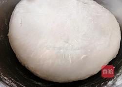 韭菜山野菜(青广东)馅饼的做法图解6