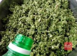 韭菜山野菜(青广东)馅饼的做法图解11