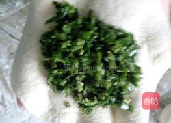 韭菜山野菜(青广东)馅饼的做法图解22