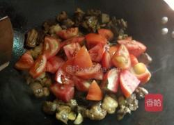 西红柿土豆炖牛肉的做法图解4