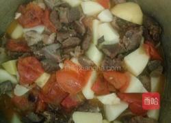 西红柿土豆炖牛肉的做法图解6