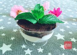 酸奶盆栽的做法图解5